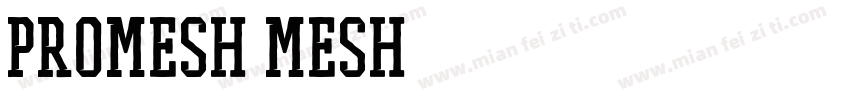 PROMESH Mesh字体转换